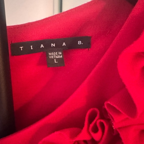 Tiana B. Vibrant Red Dress with Ruffle Detail- US Large - Picture 4 of 11